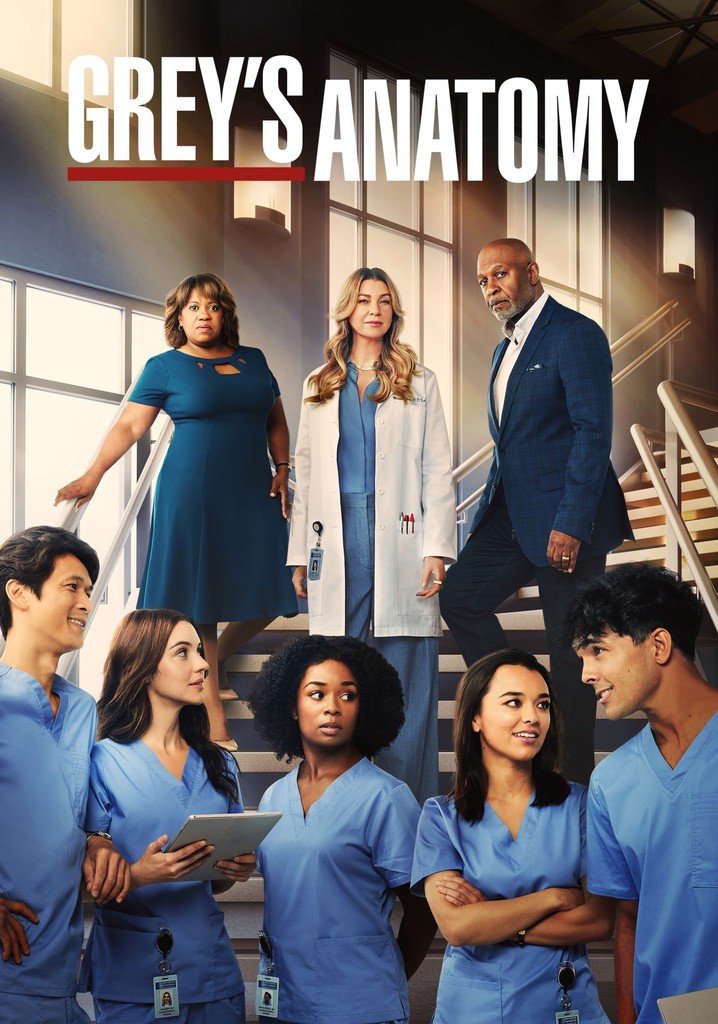 Grey's Anatomy Die jungen Ärzte Staffel 19 Online Stream